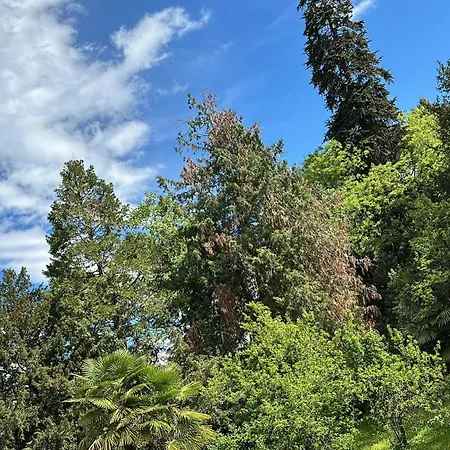 Schillerhof Appartamento *