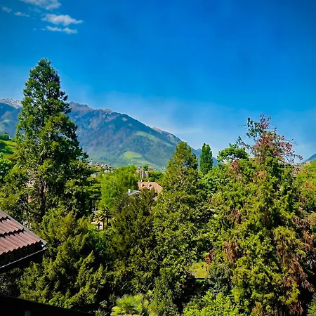 Schillerhof Апартаменты
