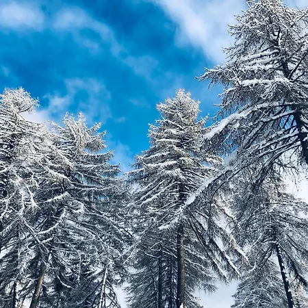 Апартаменты Schillerhof