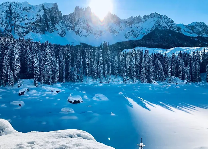 Schillerhof Appartement *