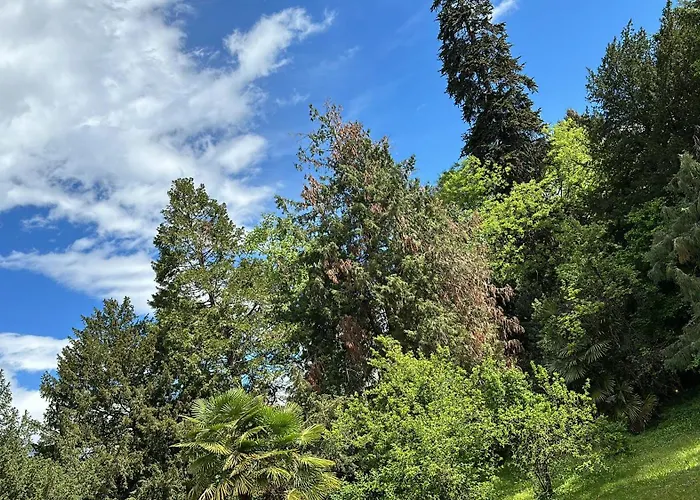 Schillerhof Appartement *