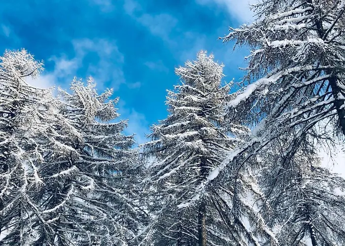 Appartement Schillerhof